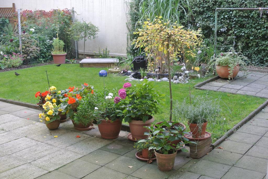 Apartmondo Ferienwohnungen Remscheid Phòng bức ảnh